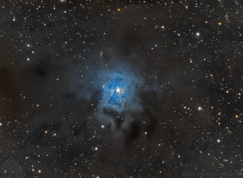 NGC7023.png